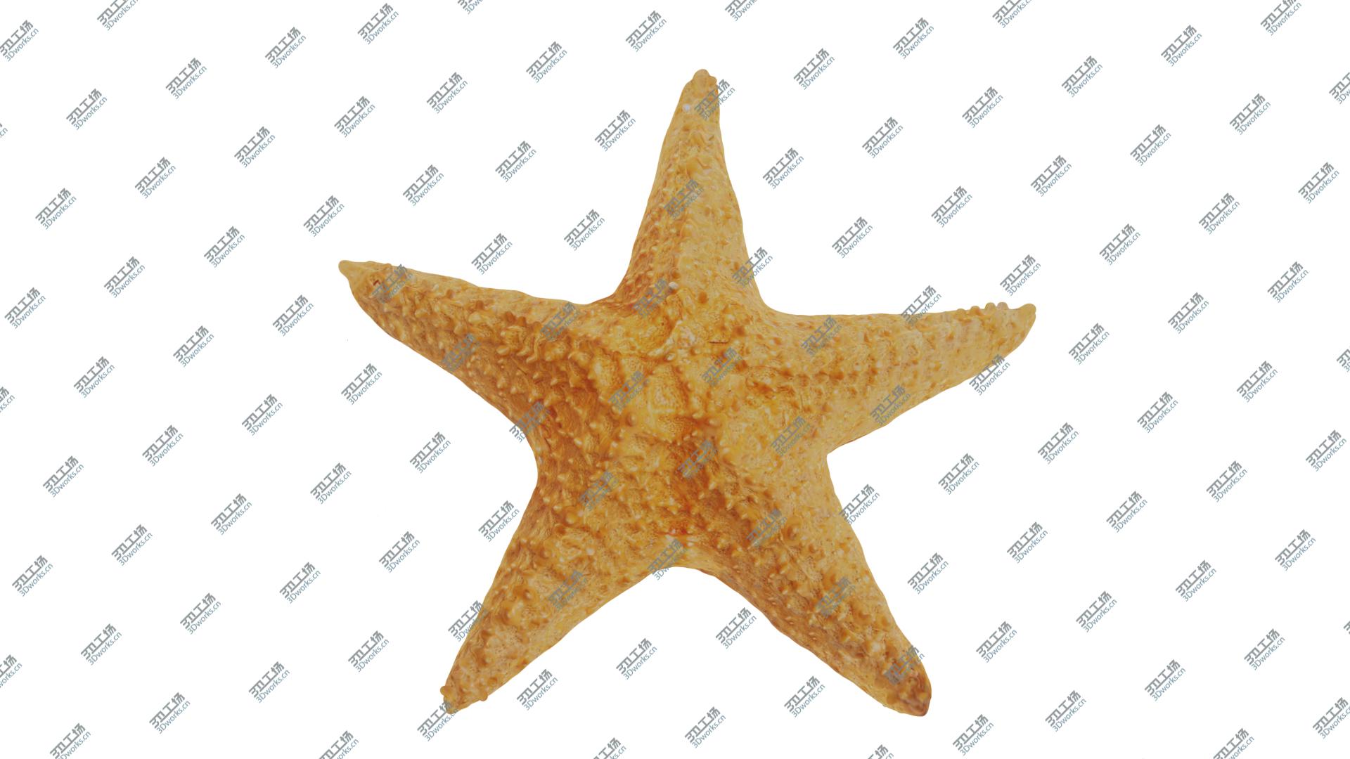 images/goods_img/2021040161/Star Fish 3D model/1.jpg